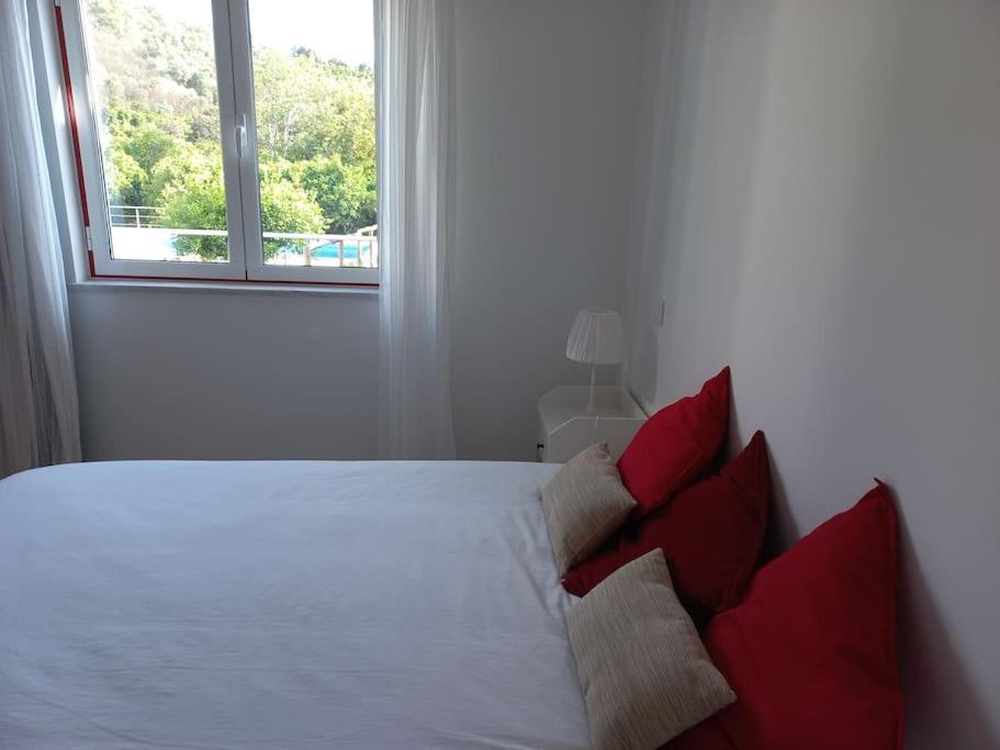 Casa Citrus Limao - Between The Hills & The Ocean Silves Eksteriør bilde