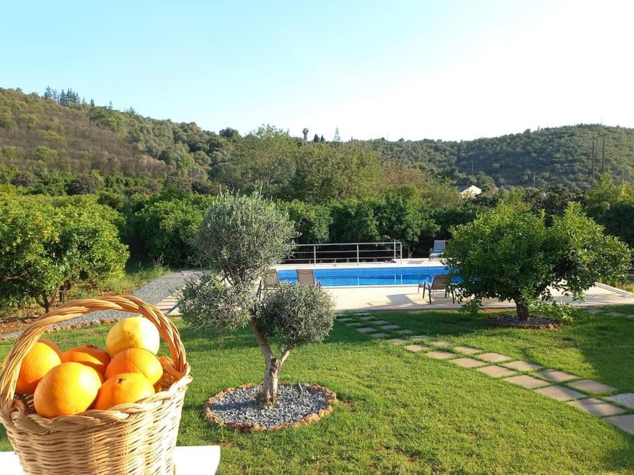 Casa Citrus Limao - Between The Hills & The Ocean Silves Eksteriør bilde