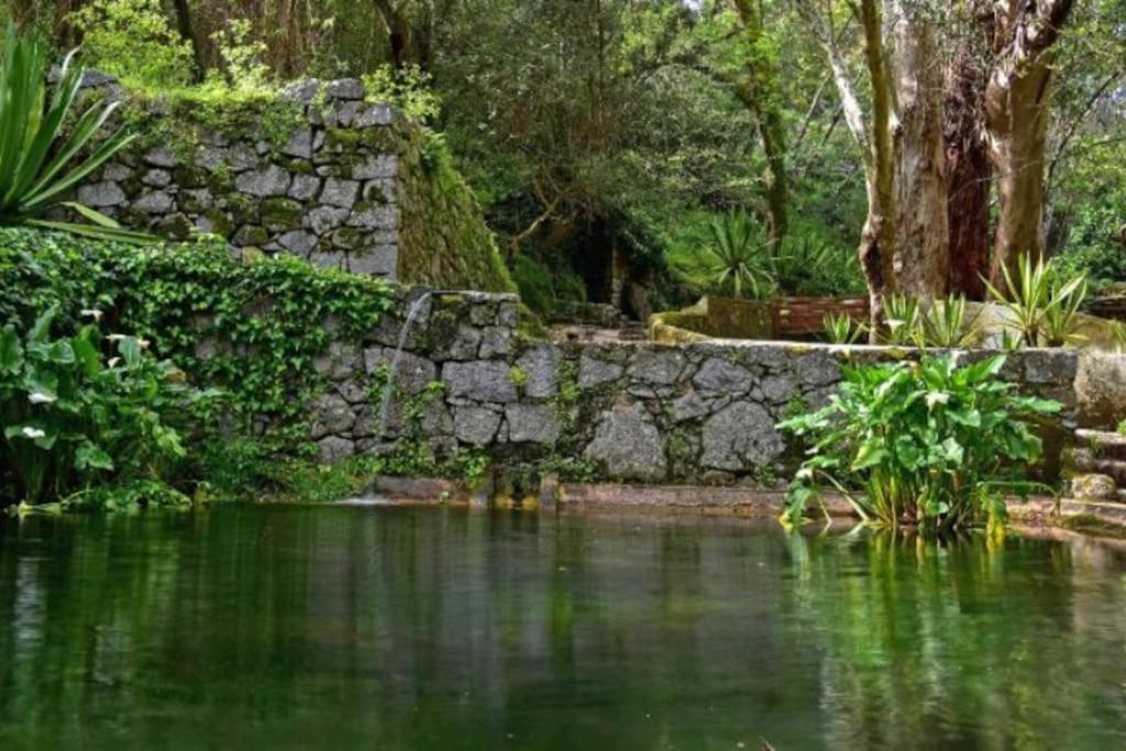 Casa Citrus Limao - Between The Hills & The Ocean Silves Eksteriør bilde