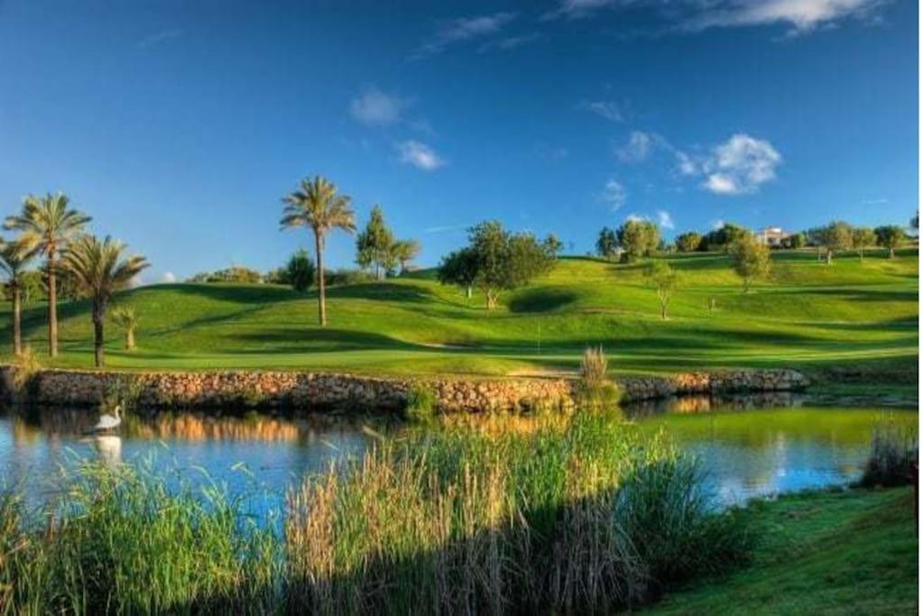Casa Citrus Limao - Between The Hills & The Ocean Silves Eksteriør bilde